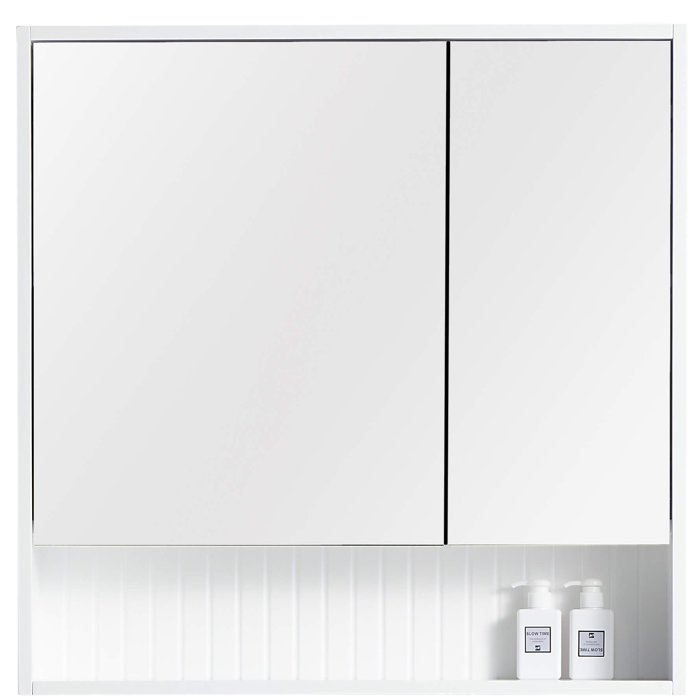 Latitude Run® Asahel Surface Mount Framed 2 Doors Medicine with 2 Shelves & Reviews